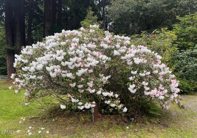 3rd image of 19701 Noyo Acres Dr, Fort Bragg, CA 95437 | MLS# C1-10936