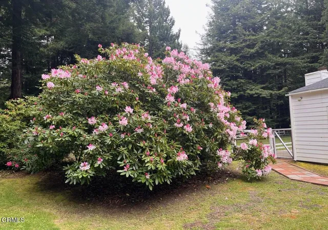 4th image of 19701 Noyo Acres Dr, Fort Bragg, CA 95437 | MLS# C1-10936