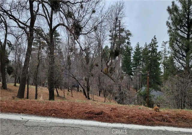 2nd image of 0 Winding Way, Running Springs, CA 92382 | MLS# IG25074514