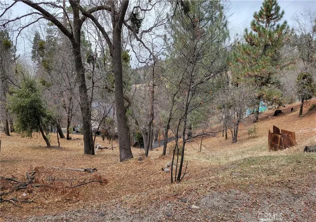 3rd image of 0 Winding Way, Running Springs, CA 92382 | MLS# IG25074514