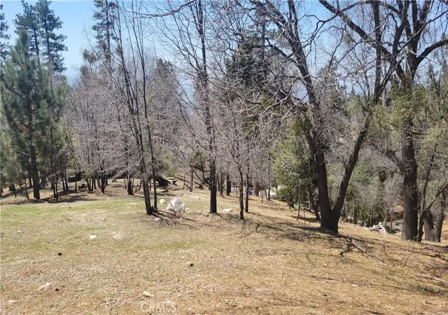 4th image of 0 Winding Way, Running Springs, CA 92382 | MLS# IG25074514