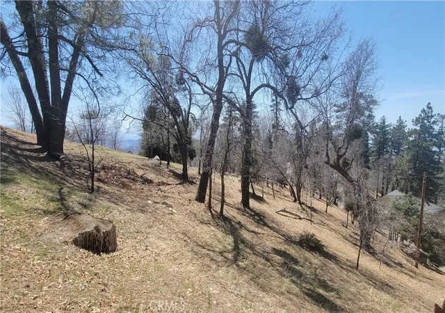 6th image of 0 Winding Way, Running Springs, CA 92382 | MLS# IG25074514