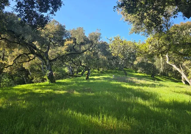 Photo 1 of Land for sale at 16 Sleepy Holw Dr, Carmel Valley, CA 93924 | MLS# ML82001285 | Listing updated on 2026-09-30