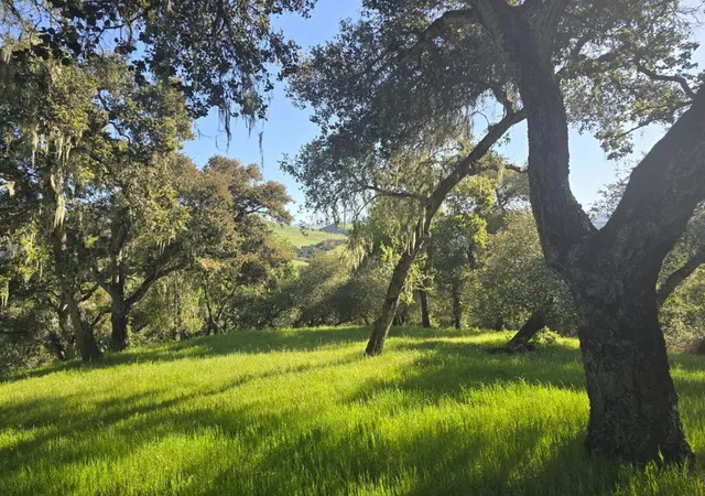 Photo 2 of Land for sale at 16 Sleepy Holw Dr, Carmel Valley, CA 93924 | MLS# ML82001285 | Listing updated on 2026-09-30