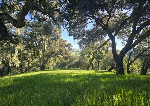 Photo 3 of Land for sale at 16 Sleepy Holw Dr, Carmel Valley, CA 93924 | MLS# ML82001285 | Listing updated on 2026-09-30