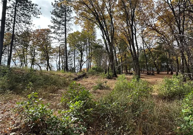 Land for sale at 0 Bunker Hl Mine Rd, Oroville, CA 95965 | MLS# OR25075780