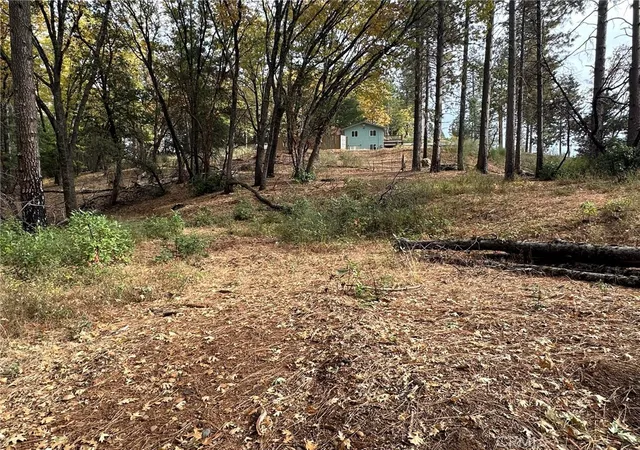 Photo 1 of Land for sale at 0 Bunker Hl Mine Rd, Oroville, CA 95965 | MLS# OR25075780 | Listing updated on 2026-09-17