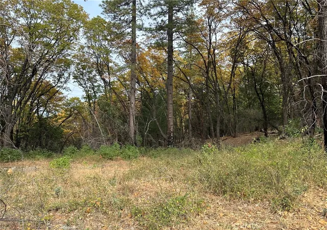 Photo 3 of Land for sale at 0 Bunker Hl Mine Rd, Oroville, CA 95965 | MLS# OR25075780 | Listing updated on 2026-09-17