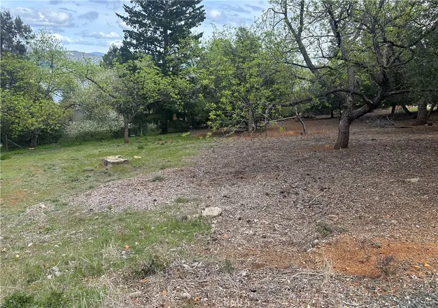 Photo 4 of Land for sale at 3680 Greenwood Dr, Kelseyville, CA 95451 | MLS# LC25075406 | Listing updated on 2026-06-26