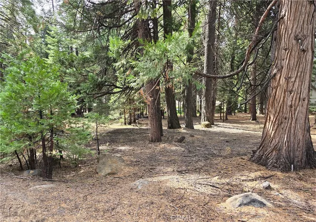 4th image of 615 Clifford Trl, Lake Almanor, CA 96137 | MLS# SN25078390
