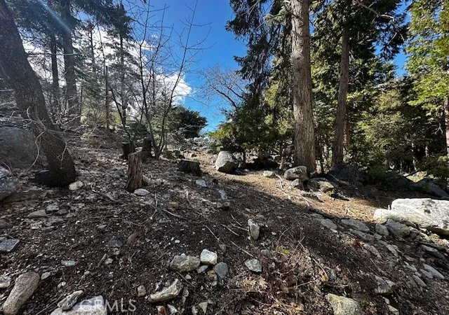 1st image of 0 Fir, Forest Falls, CA 92339 | MLS# IG25080148