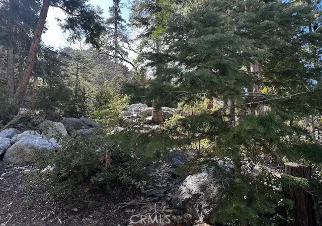 2nd image of 0 Fir, Forest Falls, CA 92339 | MLS# IG25080148