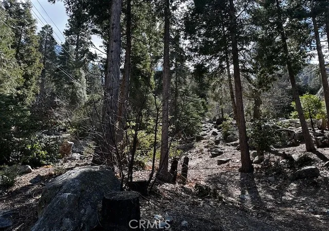 3rd image of 0 Fir, Forest Falls, CA 92339 | MLS# IG25080148