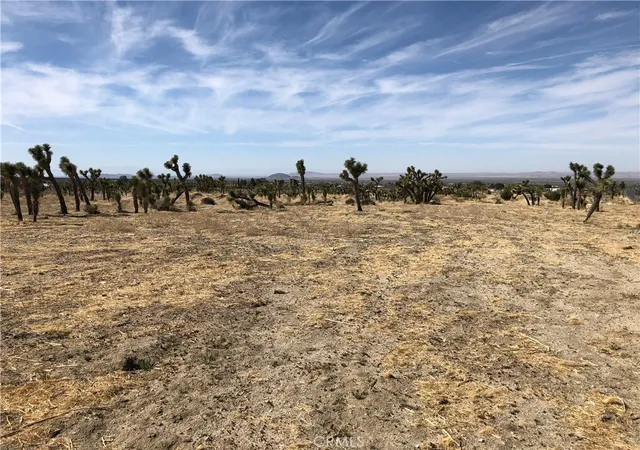 1st image of 10823 Daisy Court Lane, Pinon Hills, CA 92372 | MLS# CV25082303