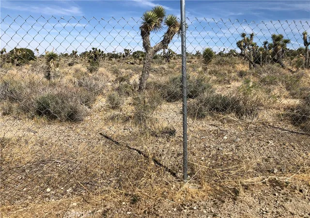 2nd image of 10823 Daisy Court Lane, Pinon Hills, CA 92372 | MLS# CV25082303