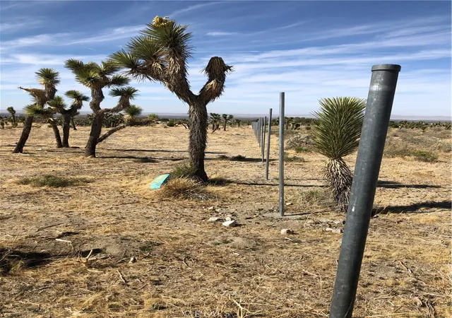 4th image of 10823 Daisy Court Lane, Pinon Hills, CA 92372 | MLS# CV25082303