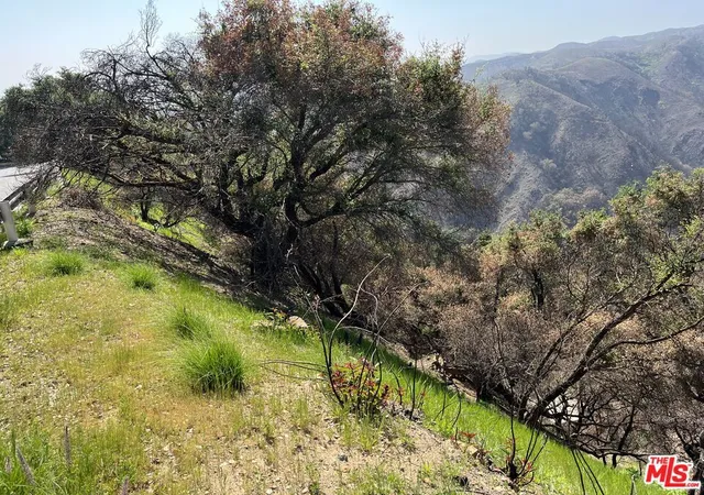 4th image of 1785 Alta Mura Rd Rd, Pacific Palisades, CA 90272 | MLS# 25525559