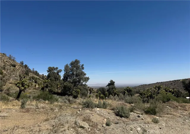 Photo 3 of Land for sale at 41112 Jack Rabbit Rd, Pinon Hills, CA 92372 | MLS# HD25087436 | Listing updated on 2026-04-08