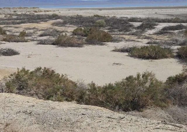 7th image of 0 Salton Bay Dr, Thermal, CA 92274 | MLS# 219128877DA