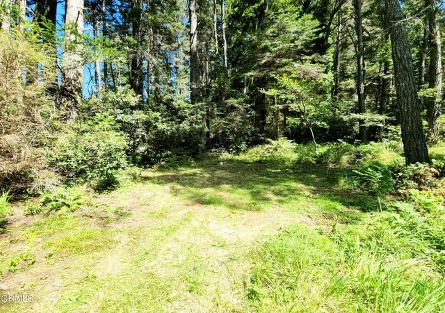 Homes for sale in Mendocino, CA | 44551 Raven Ln, Mendocino, CA 95460 | MLS# C1-10976