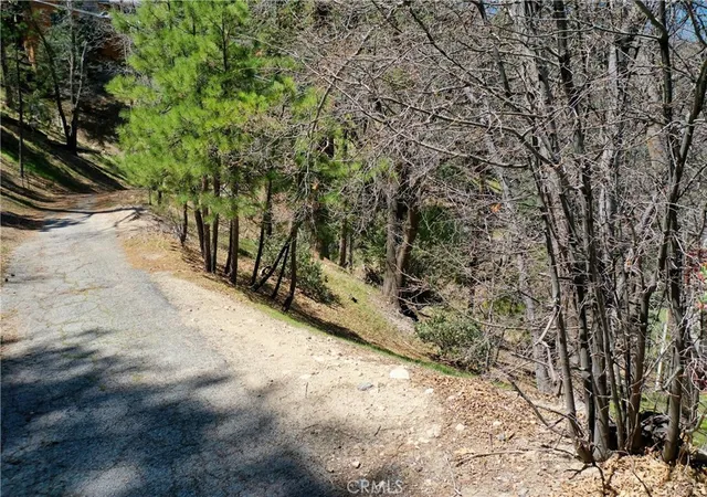 Photo 3 of Land for sale at 0 Yukon Dr, Lake Arrowhead, CA 92352 | MLS# IG25089192 | Listing updated on 2026-03-30