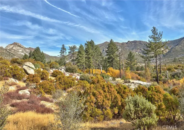 4th image of 58111 Bonita Vista Rd, Mountain Center, CA 92561 | MLS# SW25077009