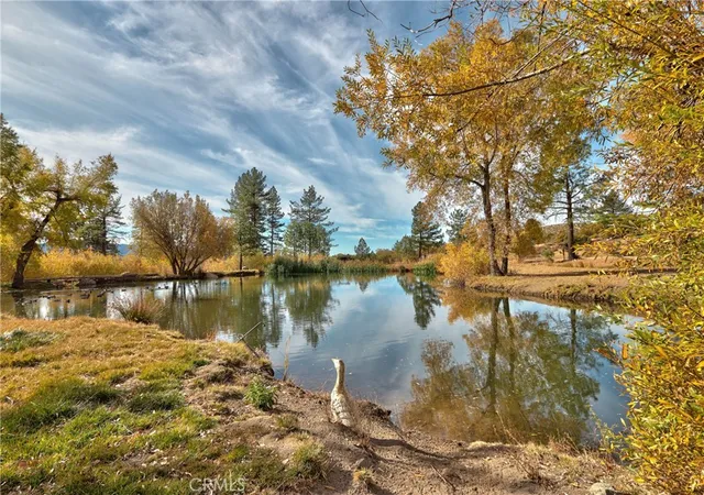 75th image of 58111 Bonita Vista Rd, Mountain Center, CA 92561 | MLS# SW25077009