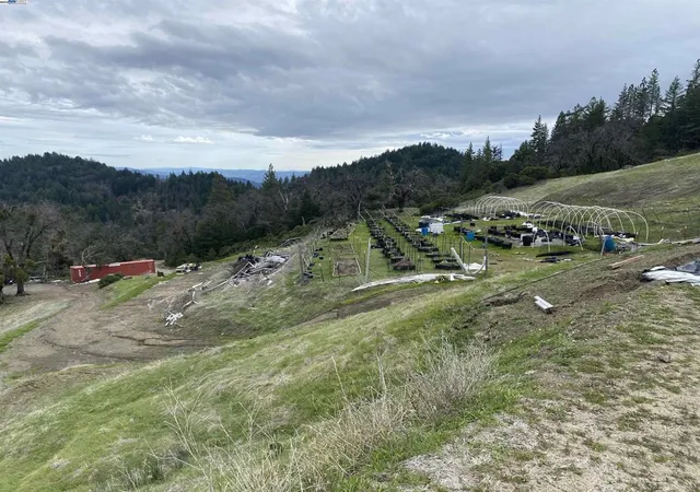 5th image of 53700 Iron Creek Road, Laytonville, CA 95454 | MLS# 41094769