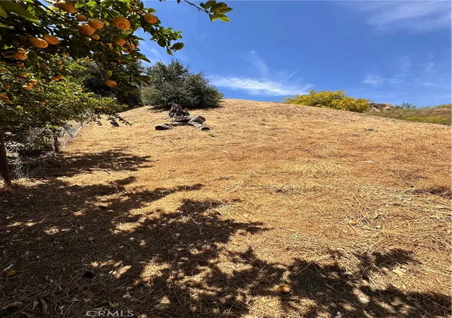 13th image of 0 Val Verde, Castaic, CA 91384 | MLS# SR25094312