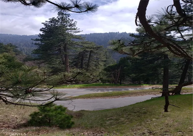 Photo 2 of Land for sale at 21858 Fern Canyon Rd, Cedarpines Park, CA 92322 | MLS# IG25097793 | Listing updated on 2026-05-29