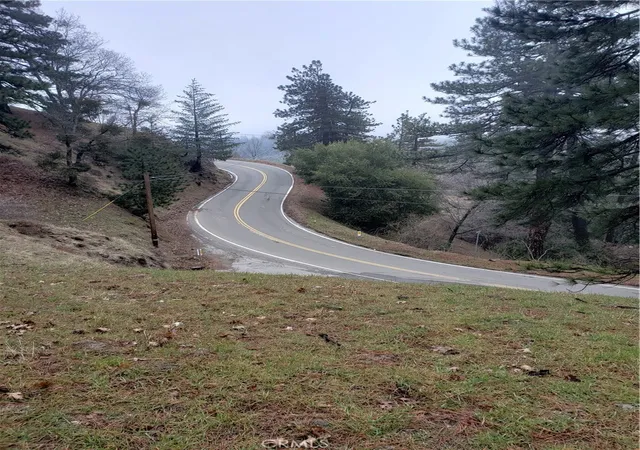 Photo 3 of Land for sale at 21858 Fern Canyon Rd, Cedarpines Park, CA 92322 | MLS# IG25097793 | Listing updated on 2026-05-29