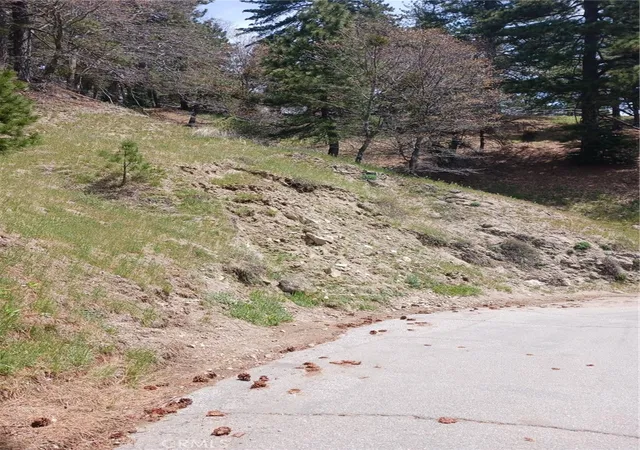 Photo 4 of Land for sale at 21858 Fern Canyon Rd, Cedarpines Park, CA 92322 | MLS# IG25097793 | Listing updated on 2026-05-29