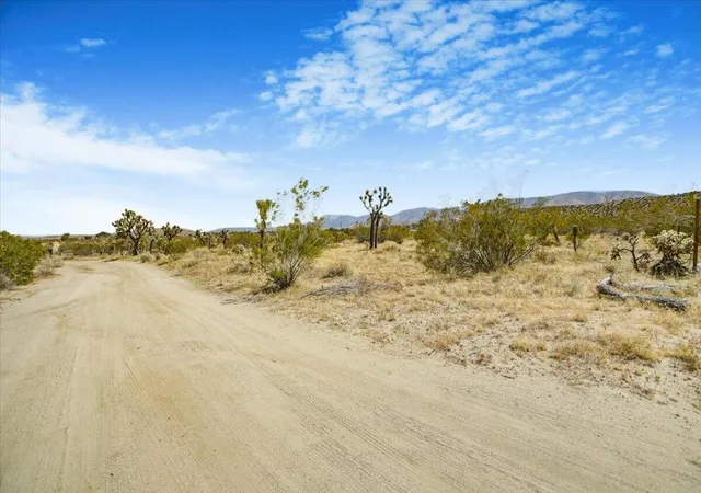 Photo 3 of Land for sale at 0 Ave W4 Drt Vic 98th Ste, Pearblossom, CA 93553 | MLS# 219129632PS | Listing updated on 2026-10-06