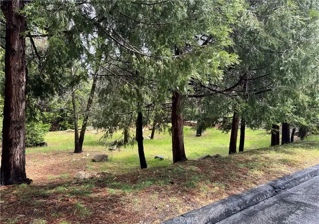 Photo 3 of Land for sale at 27525 Meadow Bay Dr, Lake Arrowhead, CA 92352 | MLS# IG25098452 | Listing updated on 2025-11-25