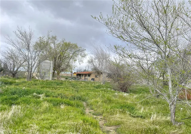 16th image of 15981 Gaskell Rd, Rosamond, CA 93560 | MLS# SW25014578