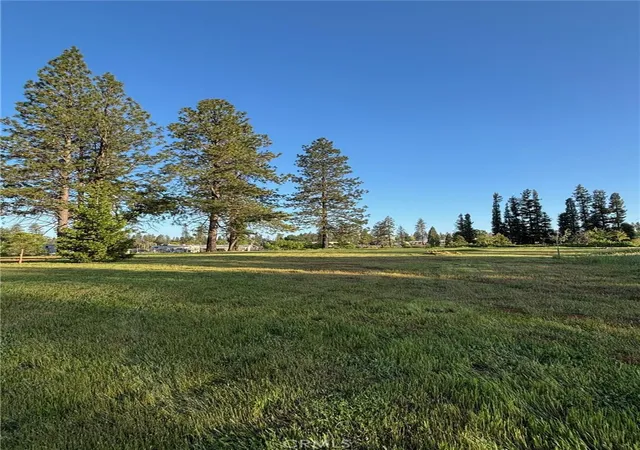 2nd image of 1340 Bille Rd, Paradise, CA 95969 | MLS# SN25101937