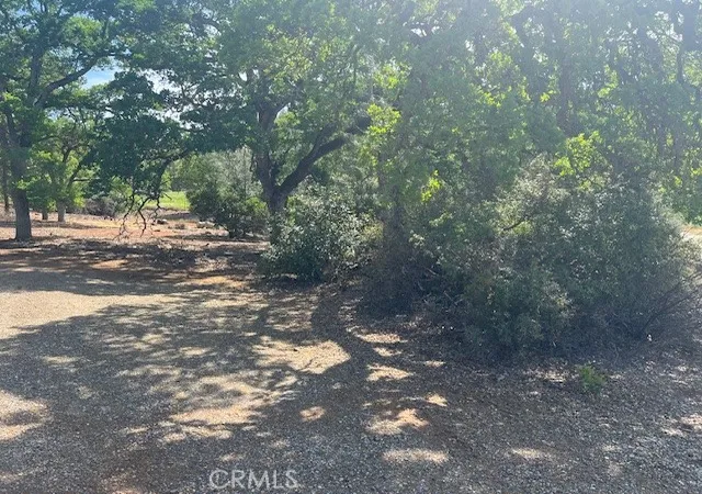 Photo 3 of Land for sale at 3588 Lincoln Ave, Clearlake, CA 95422 | MLS# LC25102527 | Listing updated on 2026-01-29