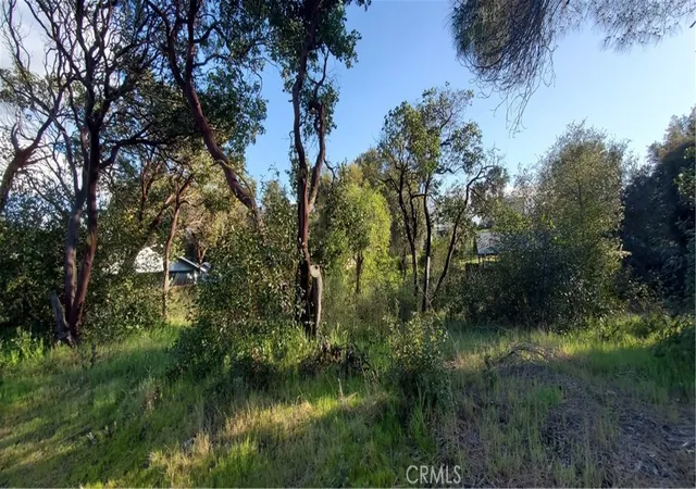 Homes for sale in Clearlake, CA | 13577 Sonoma Ave, Clearlake, CA 95422 | MLS# LC25100018