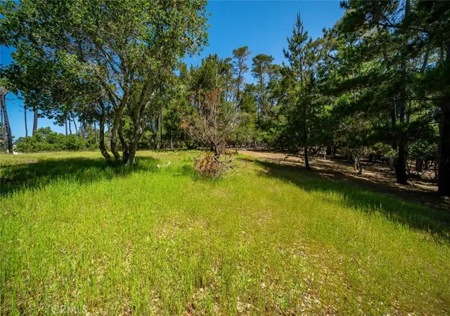 1st image of 6475 Kathryn Dr, Cambria, CA 93428 | MLS# SC25105621