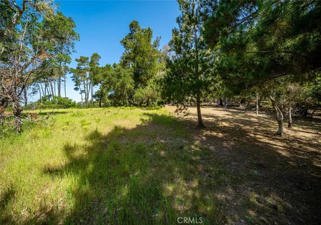 5th image of 6475 Kathryn Dr, Cambria, CA 93428 | MLS# SC25105621
