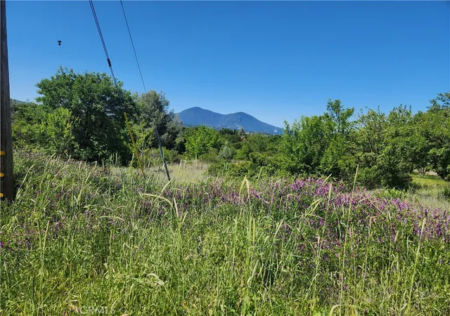 Photo 3 of Land for sale at 14241 Mcbride Ct, Clearlake Oaks, CA 95423 | MLS# LC25107923 | Listing updated on 2026-09-29