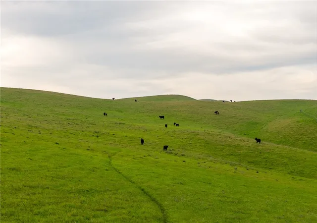 5th image of 8050 Bitterwater Road, Shandon, CA 93461 | MLS# SC25108698