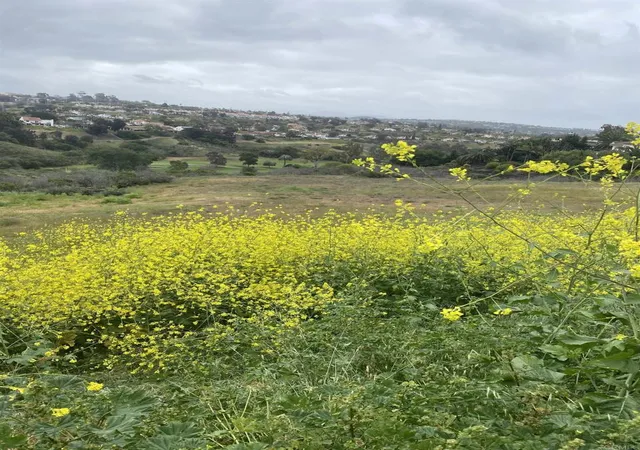 Photo 3 of Land for sale at 0 Oceanview Rd, Oceanside, CA 92056 | MLS# NDP2504901 | Listing updated on 2026-01-08