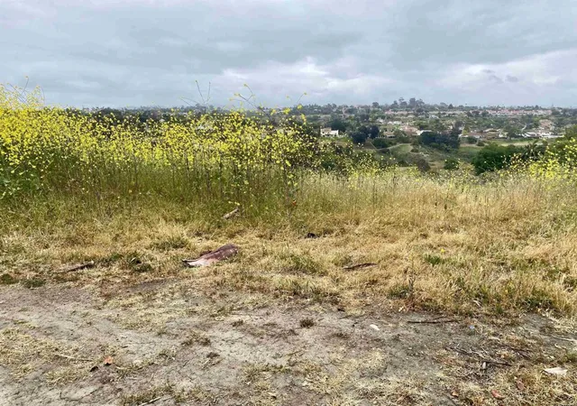 4th image of 0 Oceanview Road, Oceanside, CA 92056 | MLS# NDP2504901