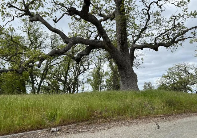 5th image of 13 Long Ridge Trl, Carmel, CA 93923 | MLS# ML82007500