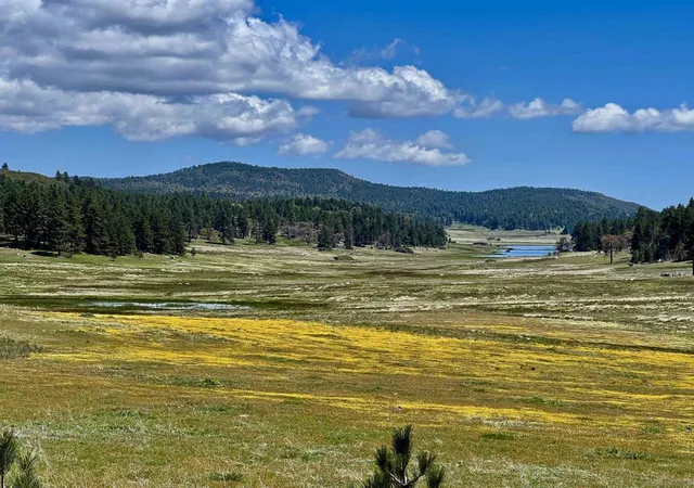 4th image of 0 Hwy 79, Julian, CA 92036 | MLS# 250027961SD