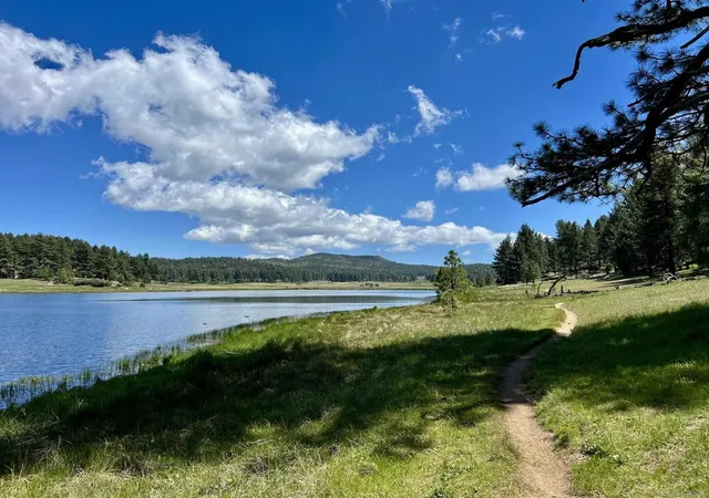 5th image of 0 Hwy 79, Julian, CA 92036 | MLS# 250027961SD