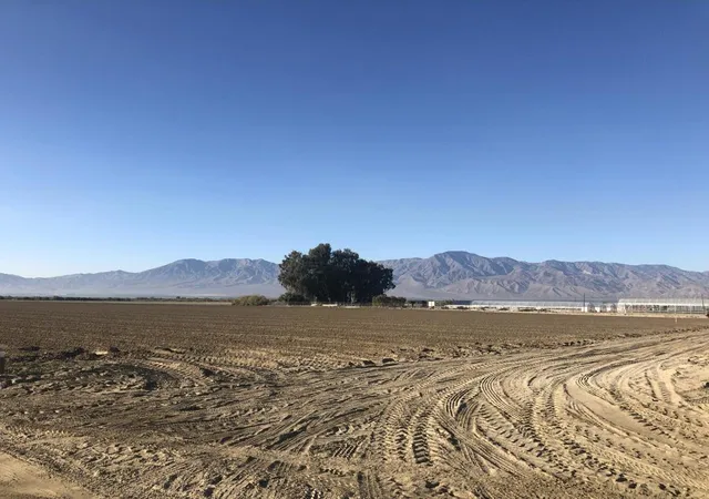 5th image of 93751 71St Ave, Mecca, CA 92254 | MLS# 219130521DA