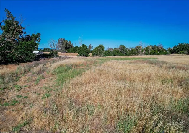 2nd image of 0 County Road Dd, Orland, CA 95963 | MLS# SN25108345