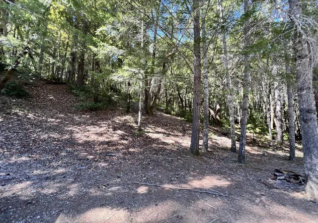 Homes for sale in Willits, CA | 24858 Clover Rd, Willits, CA 95490 | MLS# ML82008335